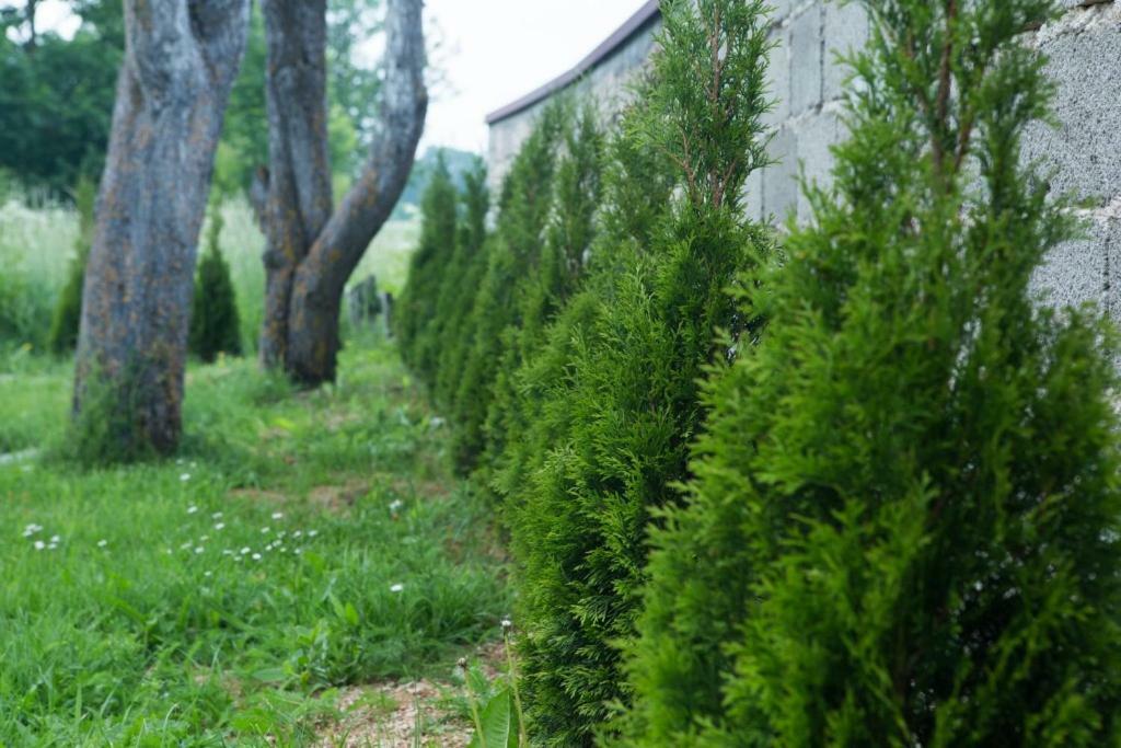 Kuca Za Odmor Marija Villa Vrhovine Bagian luar foto